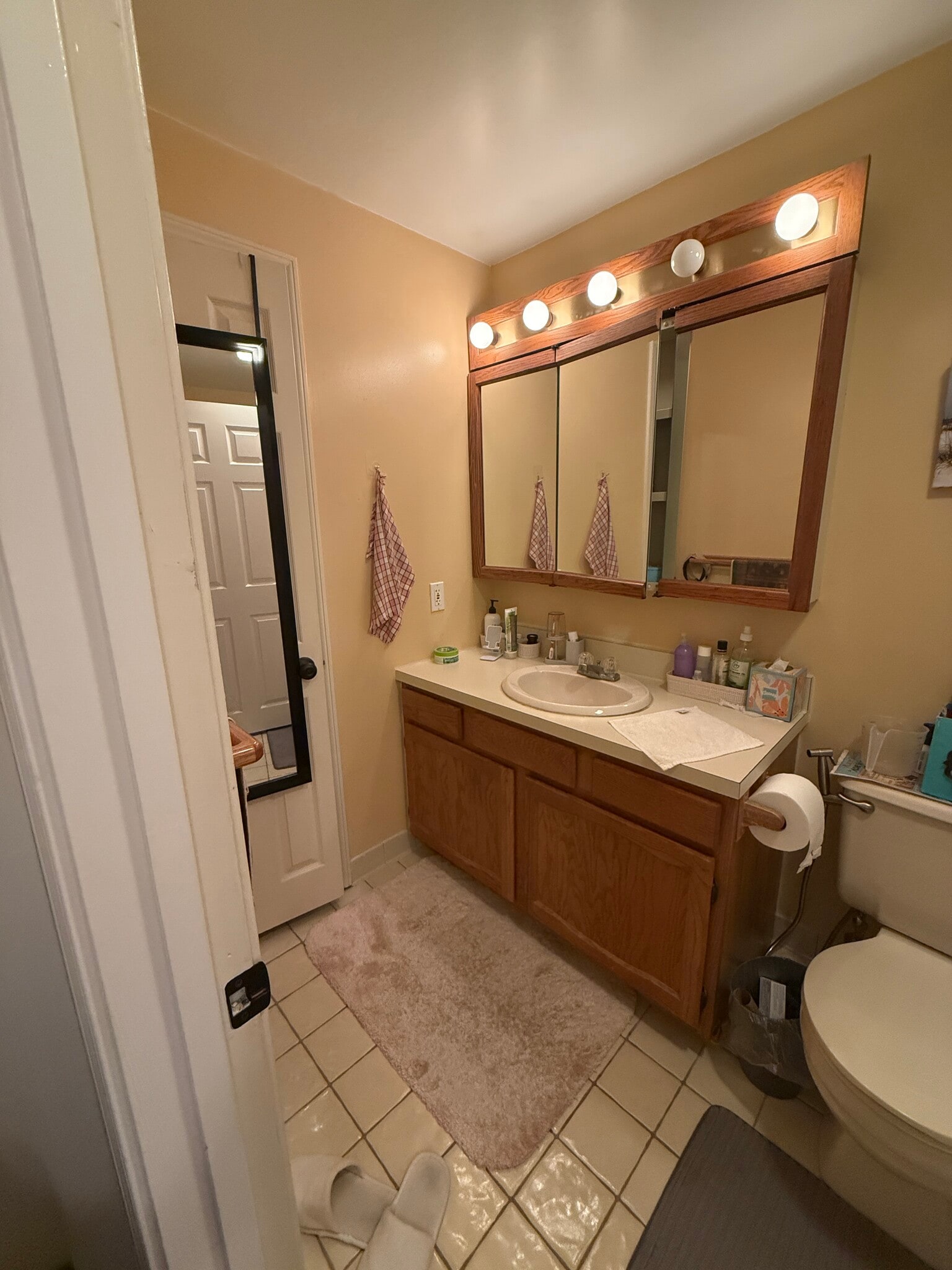 Bathroom 1 - 24 South St