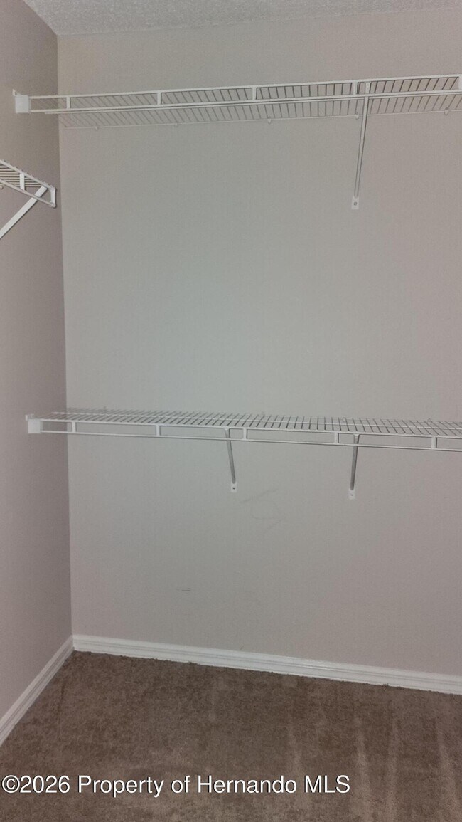 Building Photo - 11228 Roman St