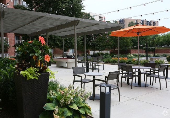 Amenity Deck - Cortland Landmark