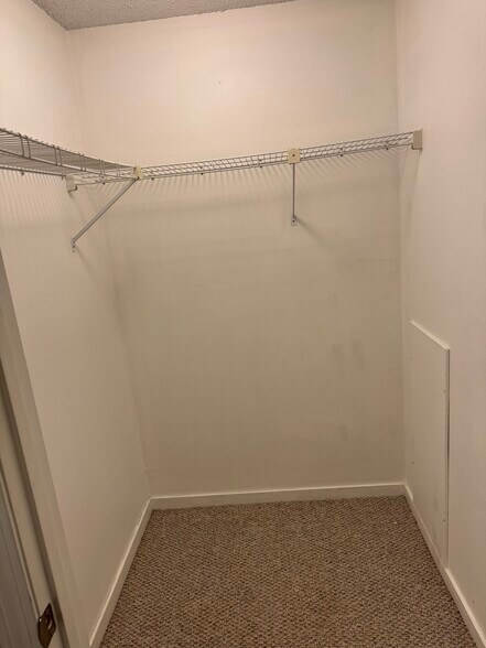Large walk-in closet in hallway - 9 Northbrook Dr