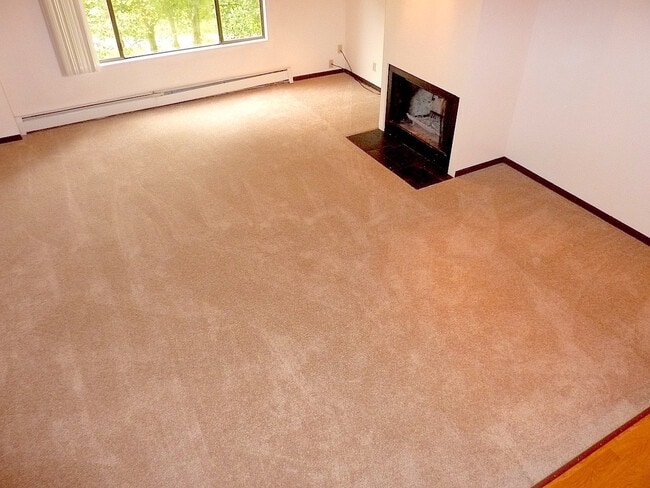Building Photo - Huge Two Bedroom On the Creek in South Anc...