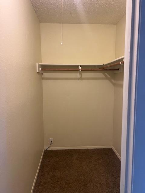 Building Photo - 11429 Ptarmigan Dr