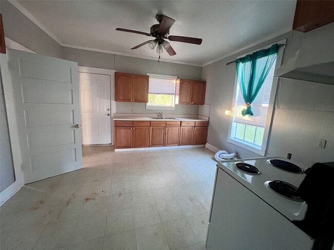 Building Photo - 621 Harrison Ln