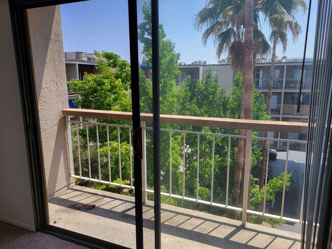 Building Photo - Super Light and Bright Junior 1 Bedroom in The Keys
