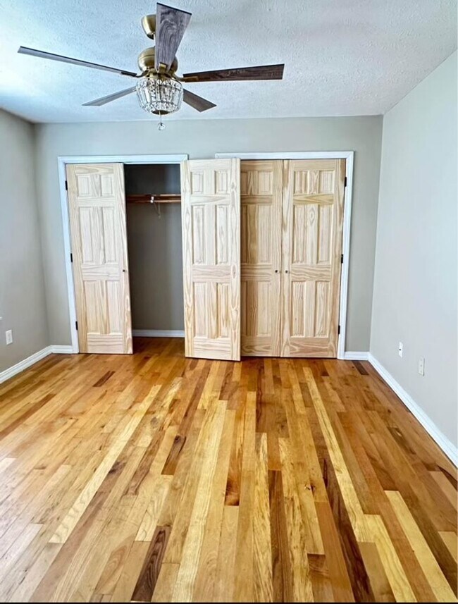 Building Photo - This 3 Bedroom Basement Duplex in Ozark is...