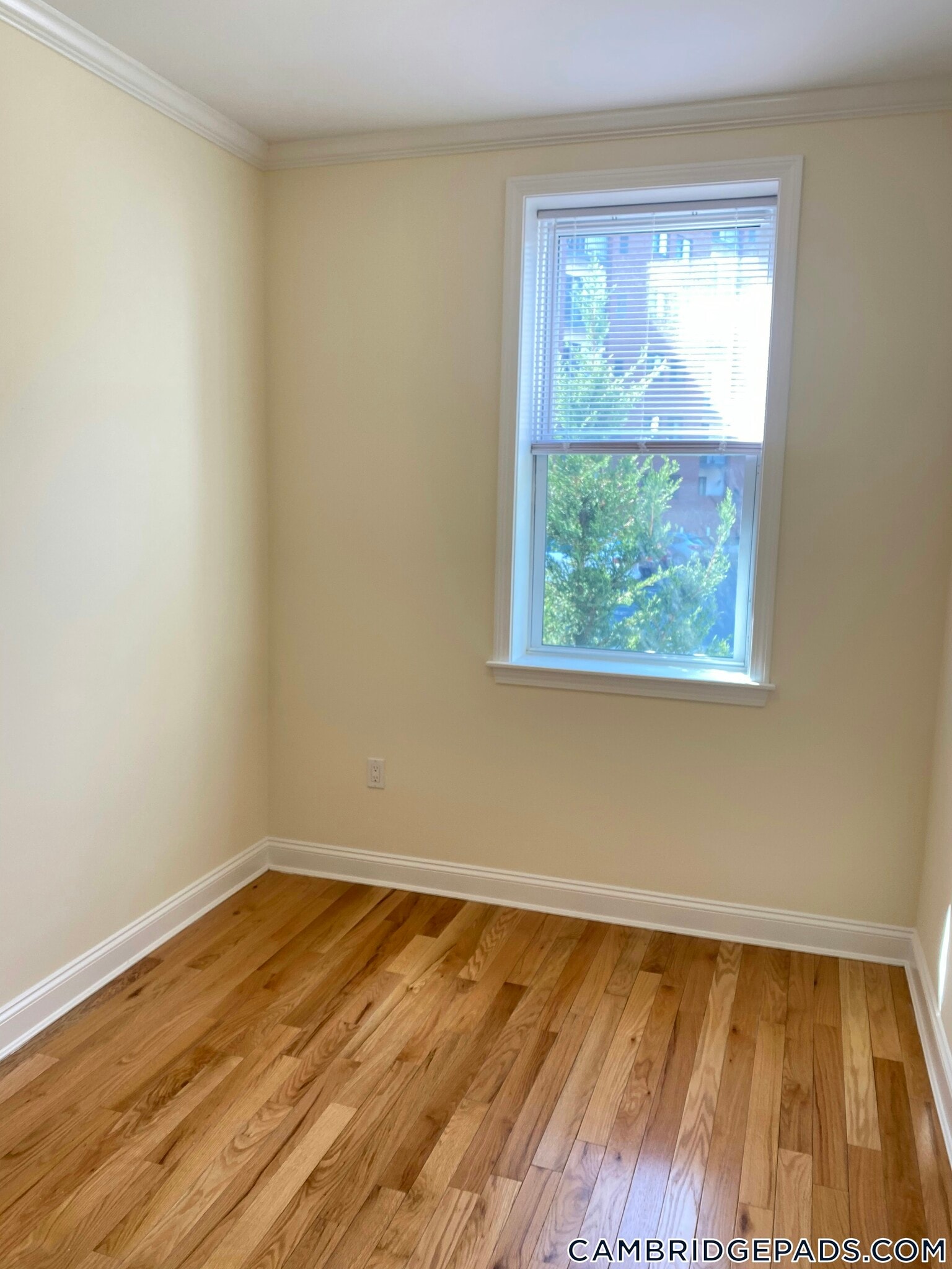 Building Photo - 3 Chauncy St