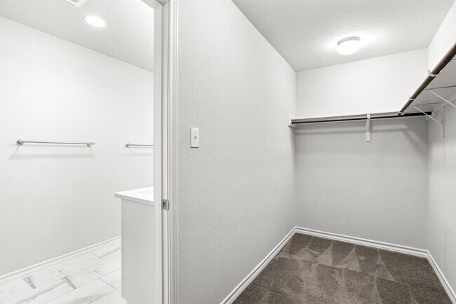 Building Photo - 798 Eves Necklace Dr.