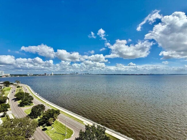 Building Photo - 4015 Bayshore Blvd