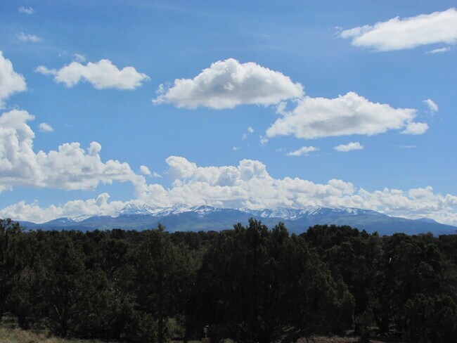 Building Photo - Charming Southwestern Stucco Home