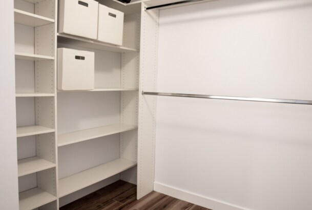 Primary Closet - 632 Brackenwood Cove