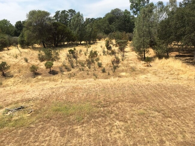 Building Photo - $1000 Move In Special! Available for Move In!