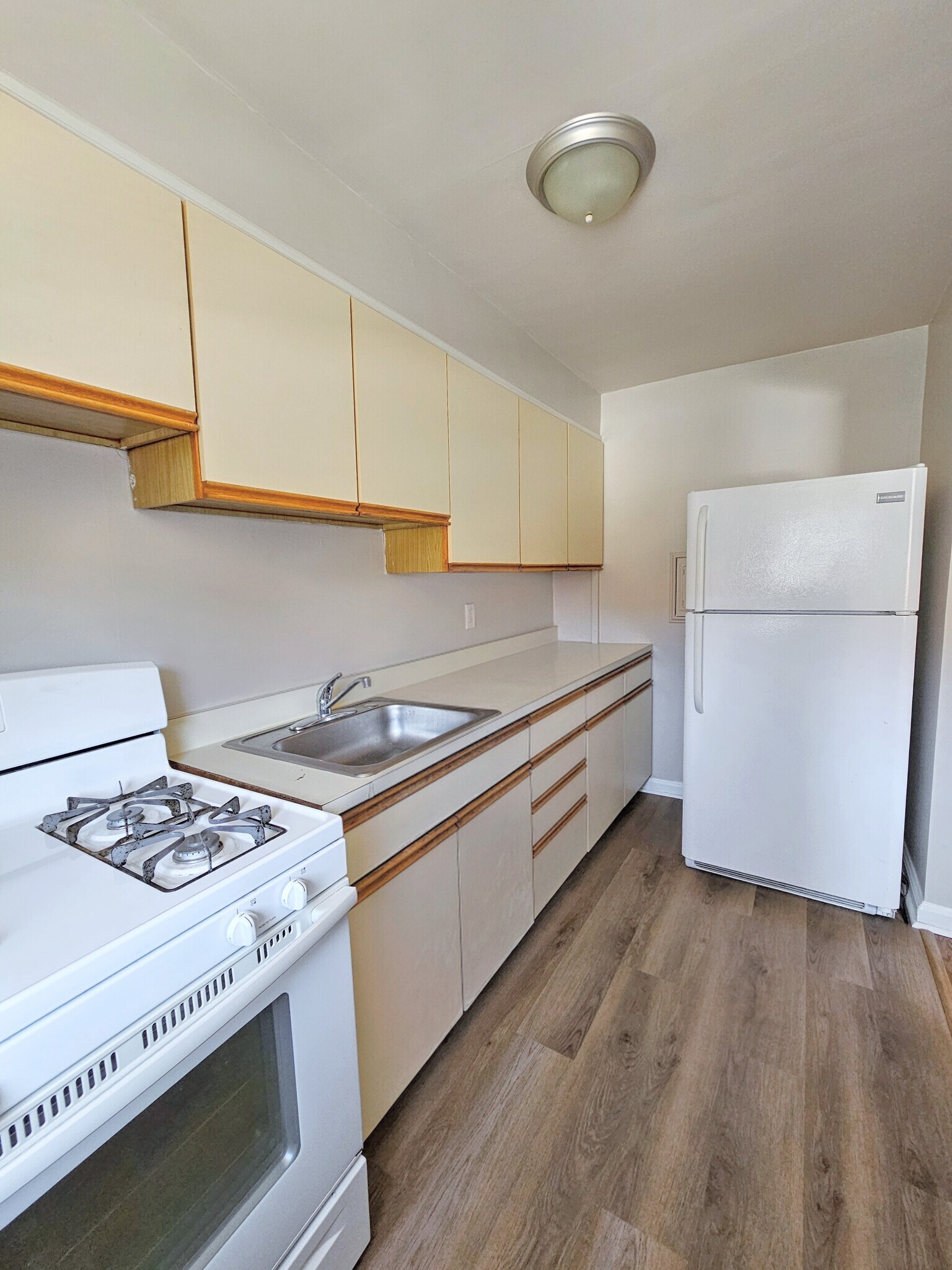 Kitchen - 24 Surrey Rd