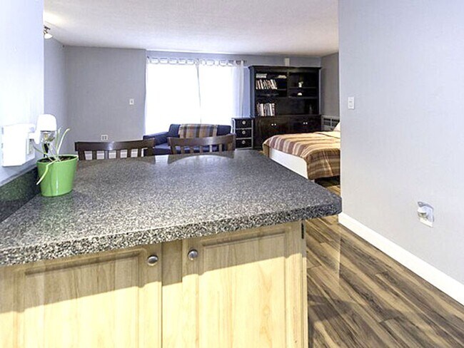 Building Photo - Spacious Studio Apartment with Stunning Vi...