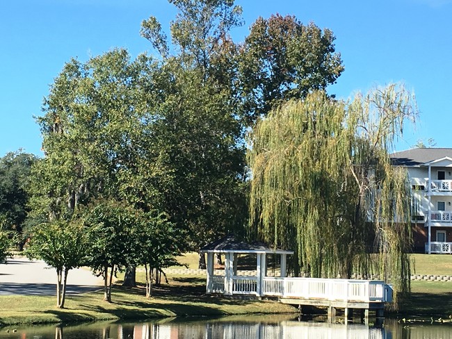 Relaxing Gazebo - Lakewood Apartment Homes