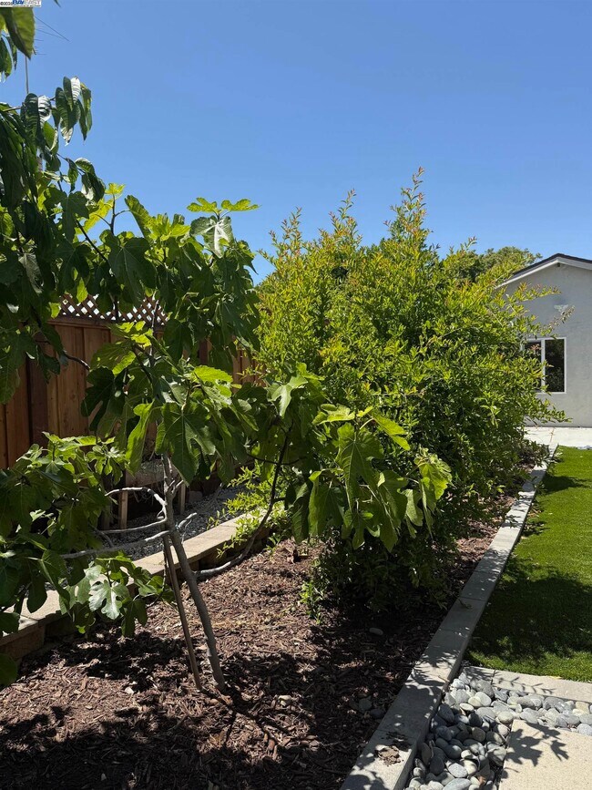 Building Photo - 2652 Autumnvale Dr