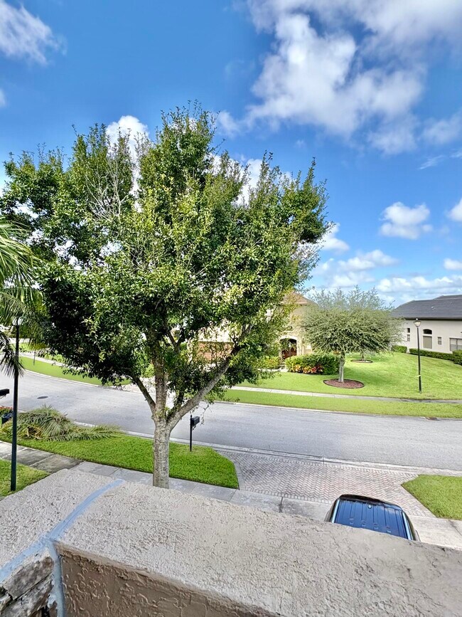 Building Photo - 3558 Collonade Dr