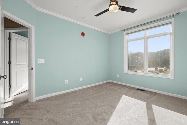 Building Photo - 1304 Ribbon Limestone Terrace SE