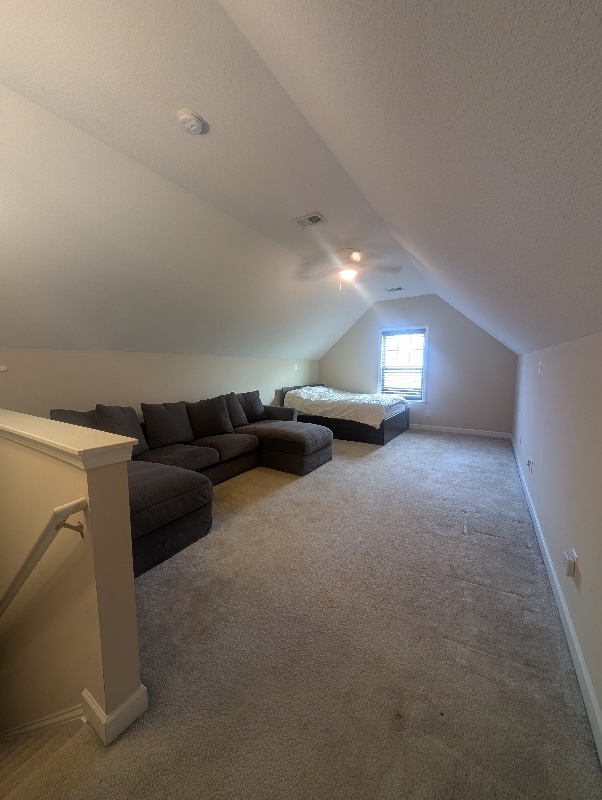 Building Photo - 4314 Connestee Ct