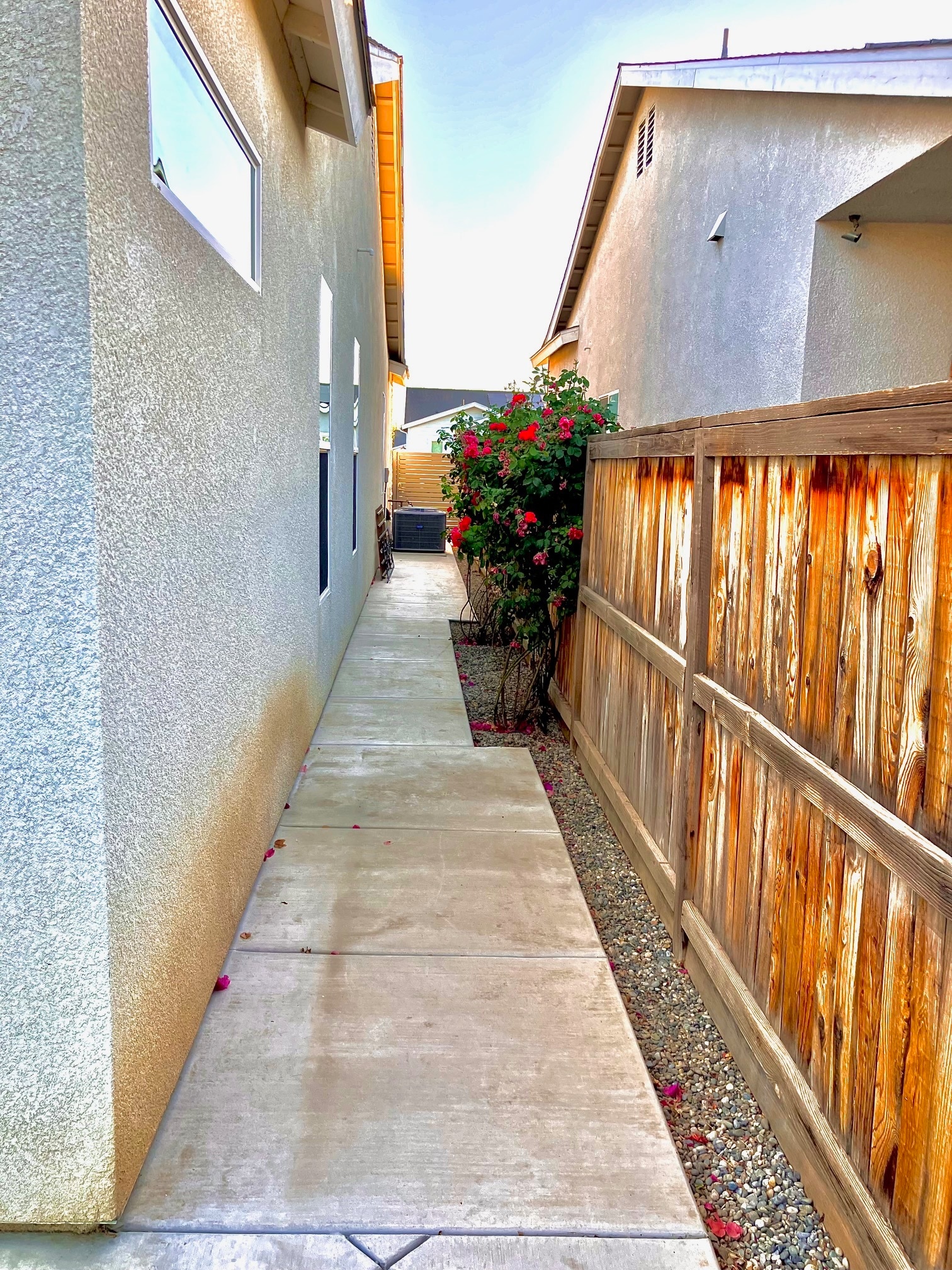 Building Photo - 9207 Manor Forest Ln