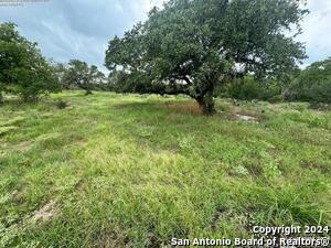 Building Photo - 440 Cedar Springs Dr