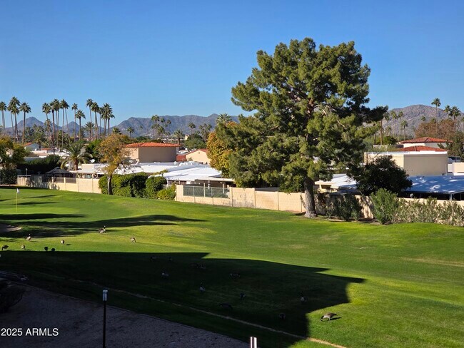 Building Photo - 7870 E Camelback Rd