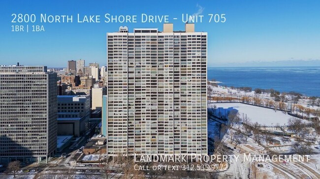 Building Photo - 2800 N Lake Shore Dr