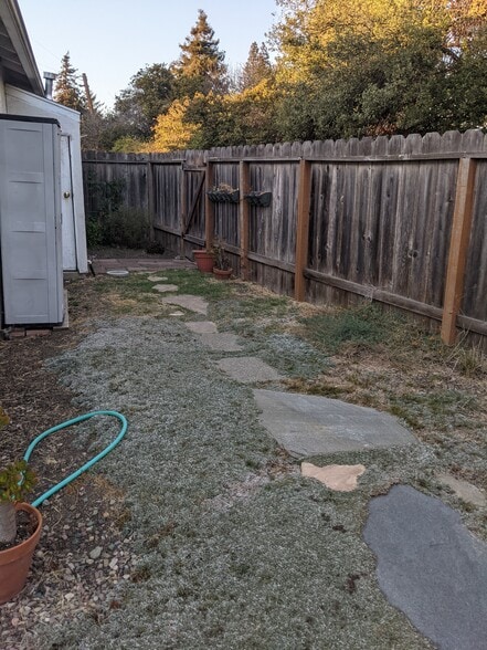 backyard - 1316 Cedar Street