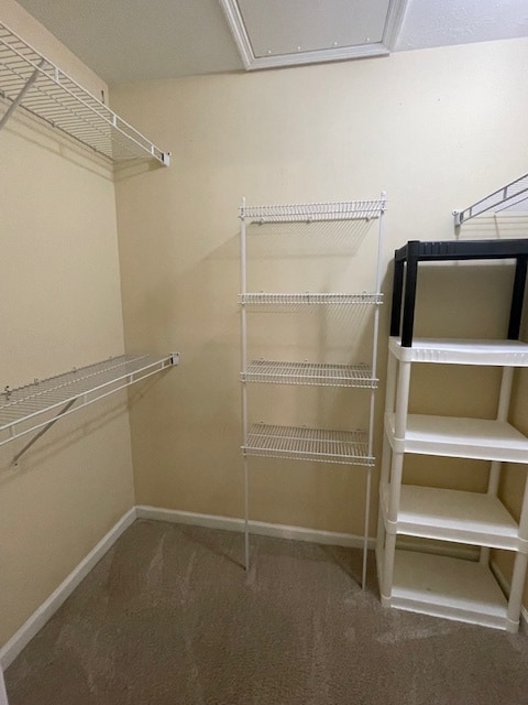 Building Photo - 556 Edgecliff Ln