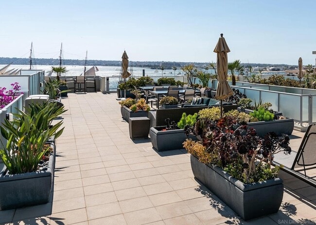 Building Photo - 1431 Pacific Hwy