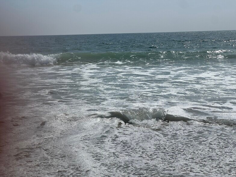 Five minutes to sea and wildlife - 3512 Pacific Ave