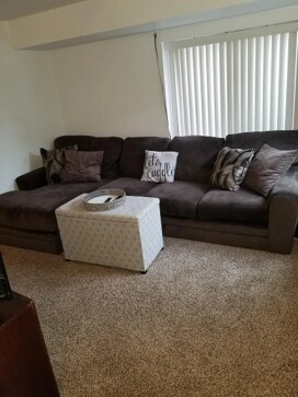 Lower Level Family Room - 6303 Colony Cir