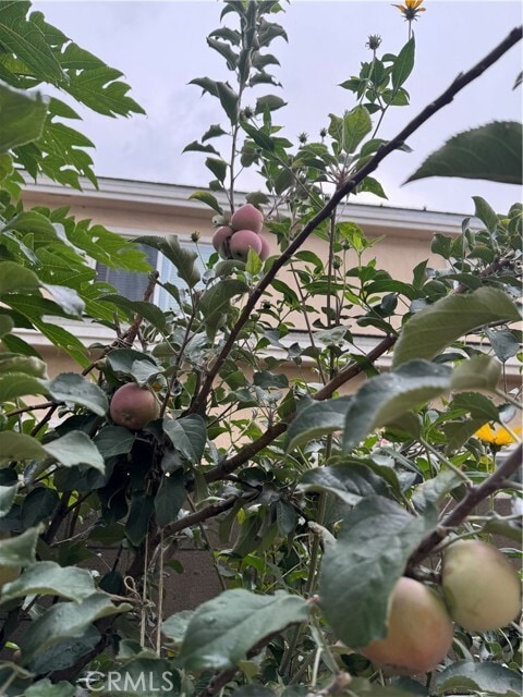 Building Photo - 5704 Sultana Ave