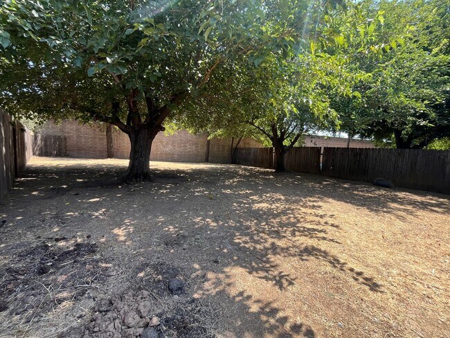 Building Photo - 2358004/85