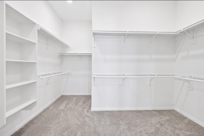 Building Photo - 23643 Red Rowan Ln