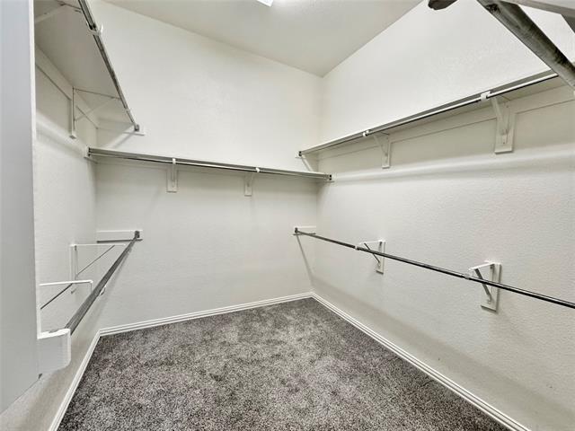 Building Photo - 256 White Dr