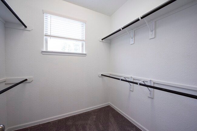 Building Photo - 585 Dry Fork Ln