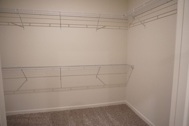 Building Photo - Modern 4 Bedroom Home in Windmill Farms with Community Pools and Trails