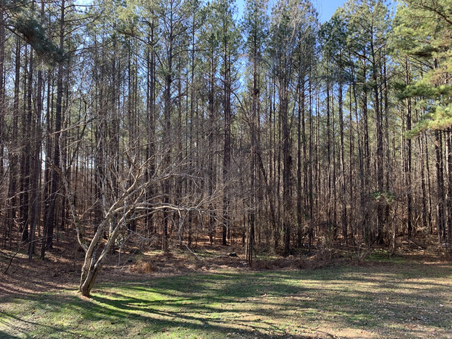 Building Photo - 3 Bed / 2 Bath House for Rent in Clayton