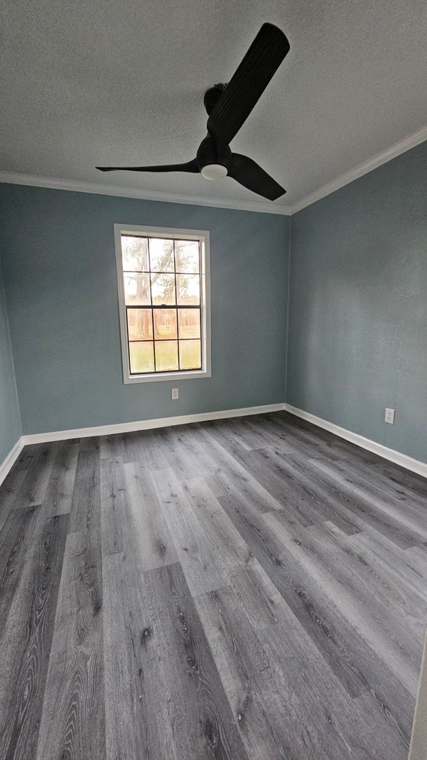Building Photo - Beautiful 4BR 2BA home in Lakeland, GA