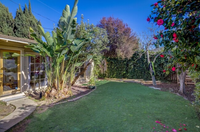 Shared yard - 3626 Veteran Ave