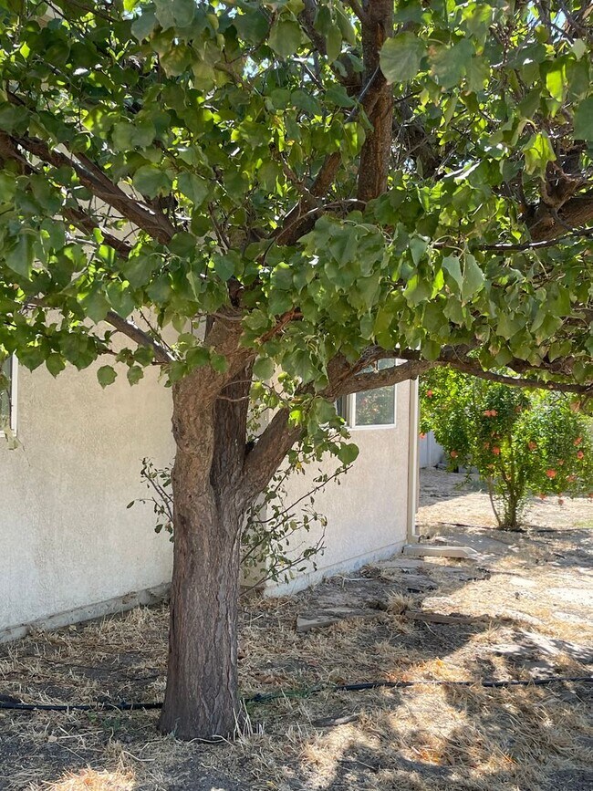 Building Photo - 5-Bedroom, 3-Bathroom Home for Rent on 1-A...