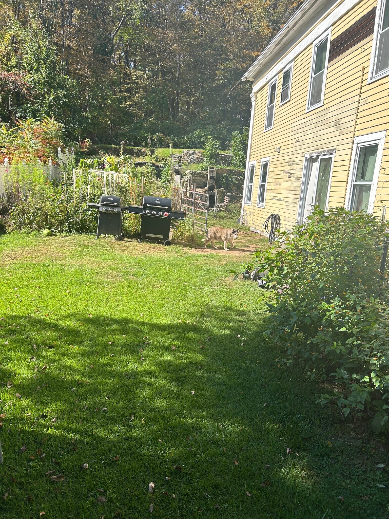 Lower Terrace Fenced Yard - 30 Wall St