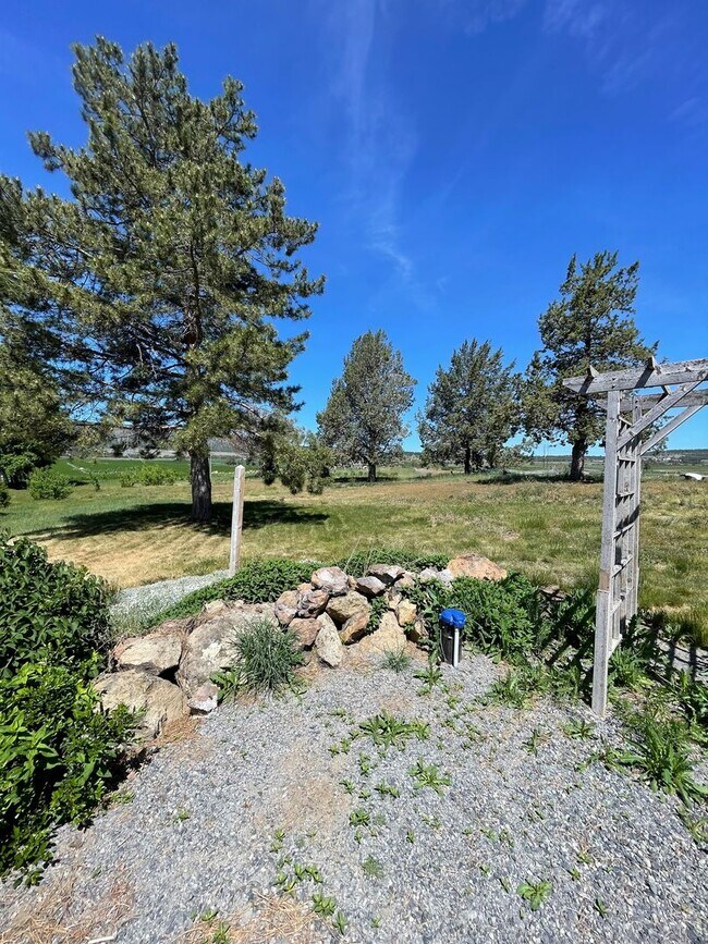 Building Photo - Rural living at its finest!  Large 3bdrm 2...