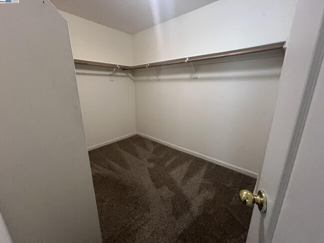 Building Photo - 3127 Puffin Cir