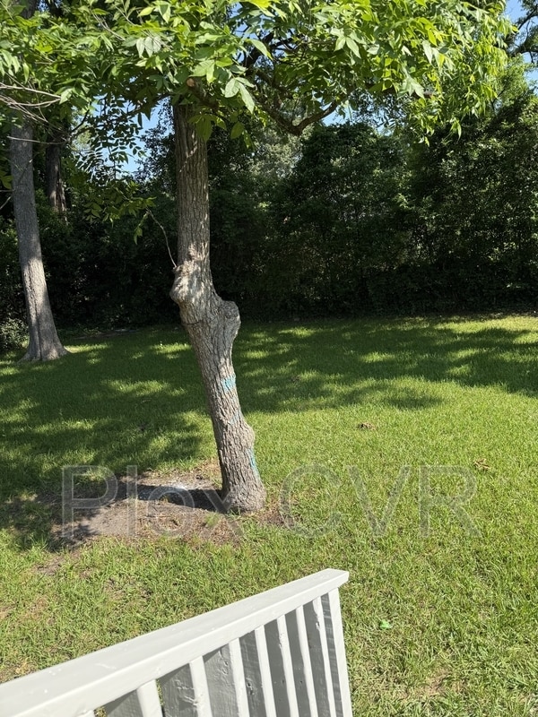 Building Photo - 2711 Pecan St