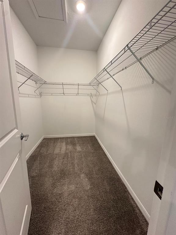 Building Photo - 4223 Little Owl Ln