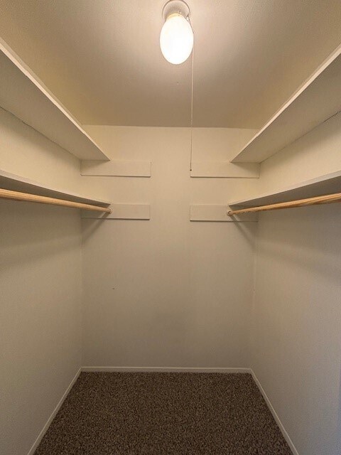 Building Photo - 3303 Brooktree Ln