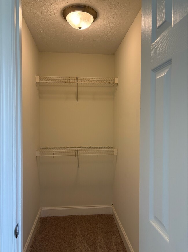 Building Photo - 129 Forever Ct