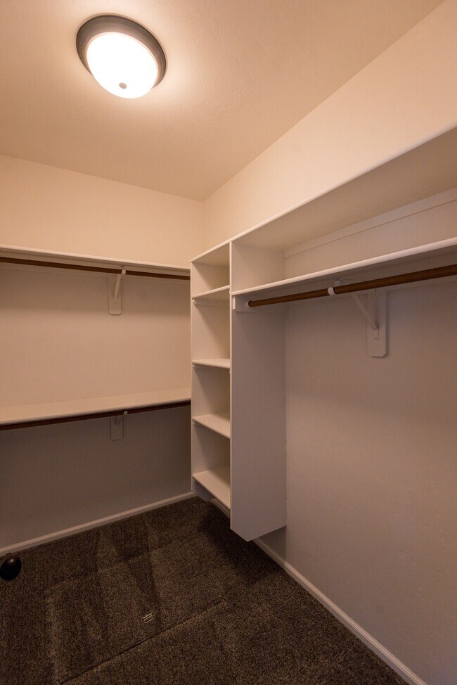 Building Photo - 2743 Spruce Dr
