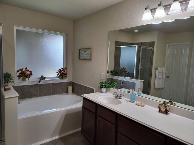 Building Photo - 10739 Chestnut Path Way